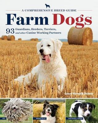 Download Farm Dogs: A Comprehensive Breed Guide to 93 Guardians, Herders, Terriers, and Other Canine Working Partners - Janet Vorwald Dohner file in PDF