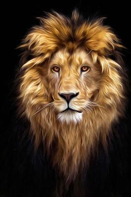 Read Magnificent Male African Lion Portrait Journal: 150 Page Lined Notebook/Diary -  | ePub