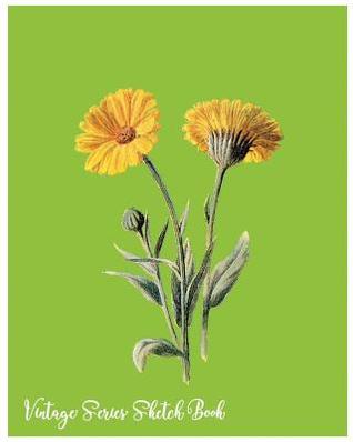 Read Online Vintage Series Sketch Book: Vintage Series Sketch Book: Large 8 X 10 Blank, Unlined, Freely to Write on for Everyone ( Men, Women, Girls, Boys, Adult, Children. Enjoy Yourself by Writing with 60 Pages ( Splendid Blank Journals) -  | ePub