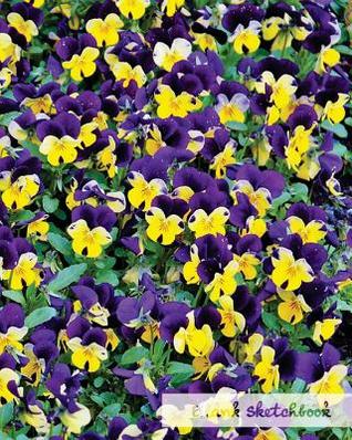 Read Online Blank Sketchbook.: Glossy & Soft Cover, White Blank Sketchbook 8x10 50 Pages. -  file in PDF