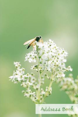 Full Download Address Book.: Glossy and Soft Cover, Large Print, Font, 6 X 9 for Contacts, Addresses, Phone Numbers, Emails, Birthday and More. -  file in PDF