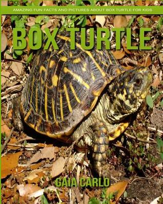 Read Online Box Turtle: Amazing Fun Facts and Pictures about Box Turtle for Kids - Gaia Carlo file in ePub