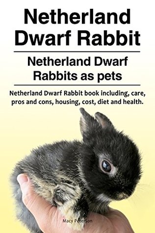 Full Download Netherland Dwarf Rabbits pets. Netherland Dwarf Rabbit book for diet, health, costs, care, housing, pros and cons. Netherland Dwarf Rabbit Owners manual. - Macy Peterson file in ePub