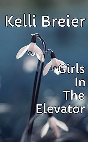 Download Girls In The Elevator - Criminal In The Hallway - Kelli Breier | ePub