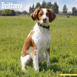 Download Brittany Calendar - Dog Breed Calendars - 2017 - 2018 wall Calendars - 16 Month by Avonside -  file in ePub