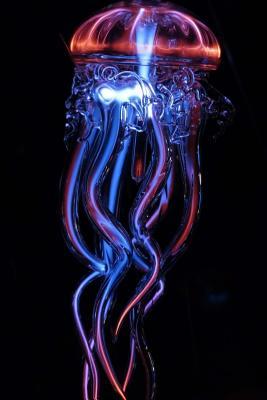 Full Download Jellyfish Notebook: 150 Lined Pages, Softcover, 6 X 9 -  | PDF