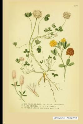 Full Download Nature Journal - Vintage Print: Vintage Nature Print (27), 6 X 9 - Blank Ulined Unruled Diary, Notebook, Journal -  | ePub