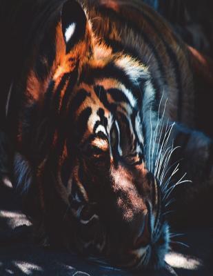 Download Double-Entry Journal Note-Taking System Notebook: The Double-Sided Journal Is a Writing-To-Learn Strategy for Any Discipline 8.5x11 Matte Cover Notebook -  | ePub