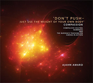 Download Don’t Push – Just Use the Weight of Your Own Body (Brahma-vihāras Series, #2) - Ajahn Amaro | ePub