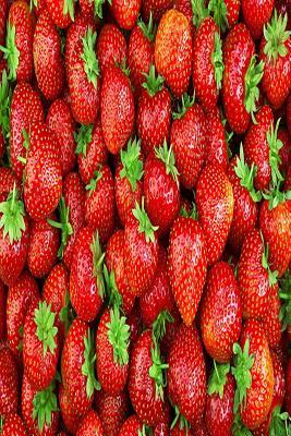 Read Strawberry Notebook: Strawberry Notebook, Journal, Diary size 6x9 -  file in ePub