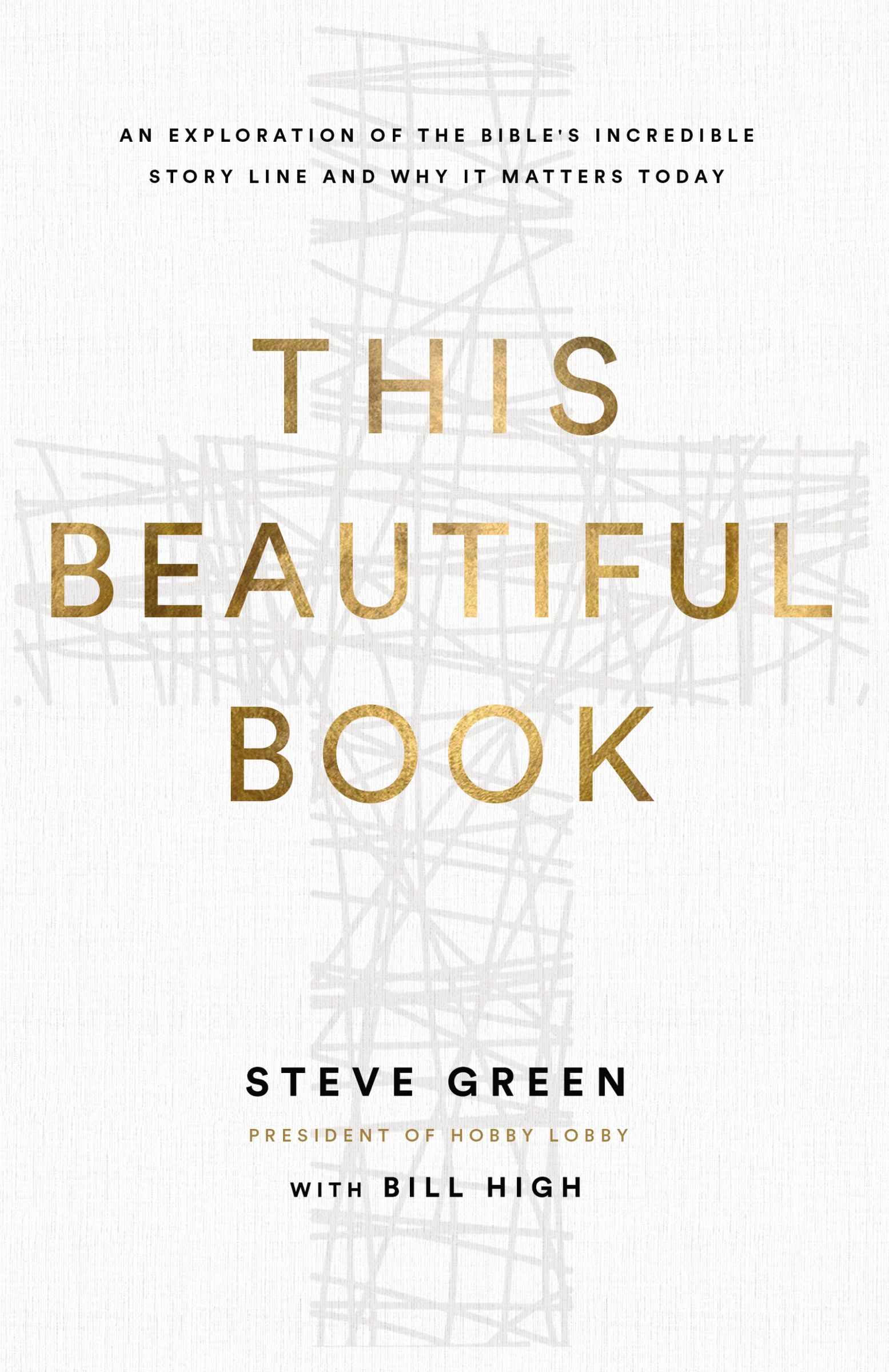 Download This Beautiful Book: An Exploration of the Bible's Incredible Story Line and Why It Matters Today - Steve Green | ePub